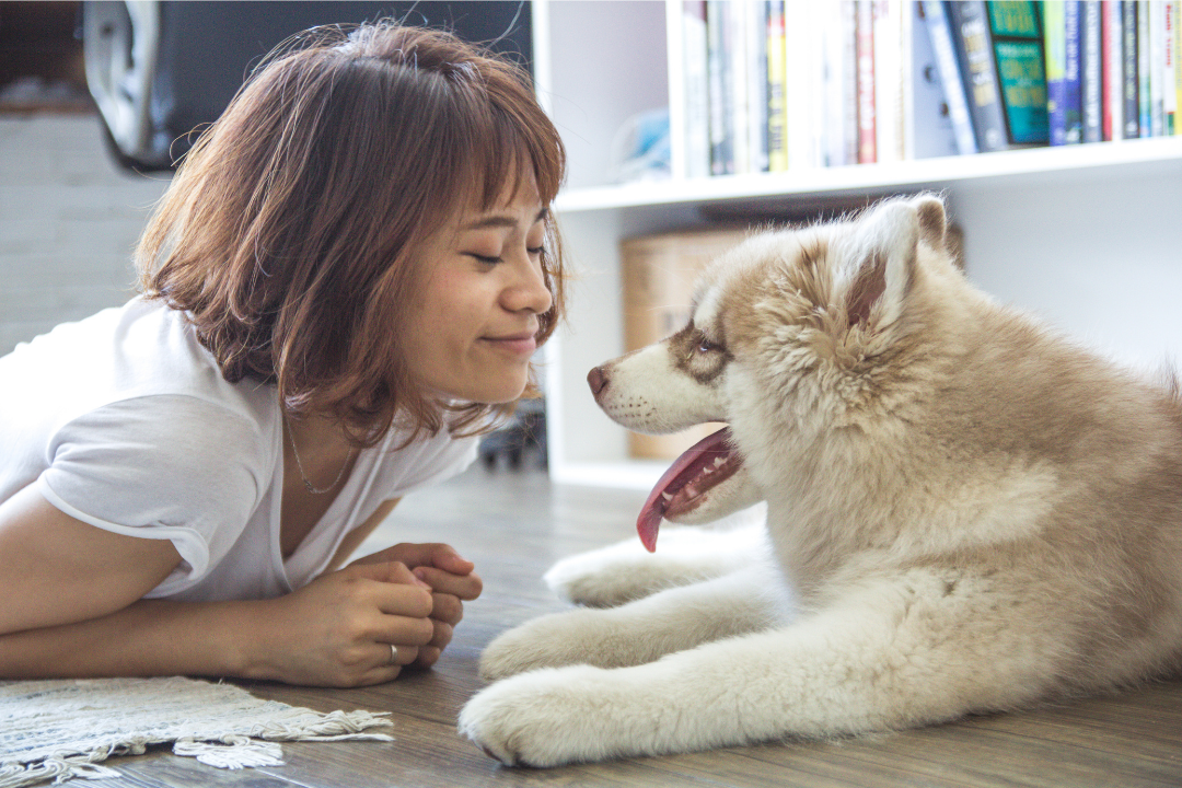 Sobre um fundo claro, está uma moça deitada de bruços no chão frente a frente com seu cachorro, o animal está de frente para ela com a língua de fora, ele possui a pelagem clara.